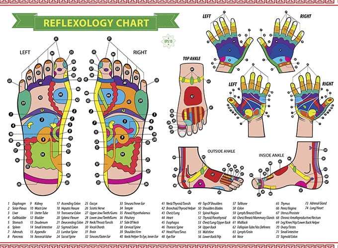 carte réflexologie plantaire